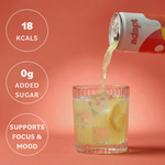 Load image into Gallery viewer, FOCUS • Ginger &amp; Lemon • Lion's Mane Nootropic Drink