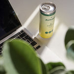 Load image into Gallery viewer, FOCUS • African Ginger &amp; Lemon • with Lion&#39;s Mane
