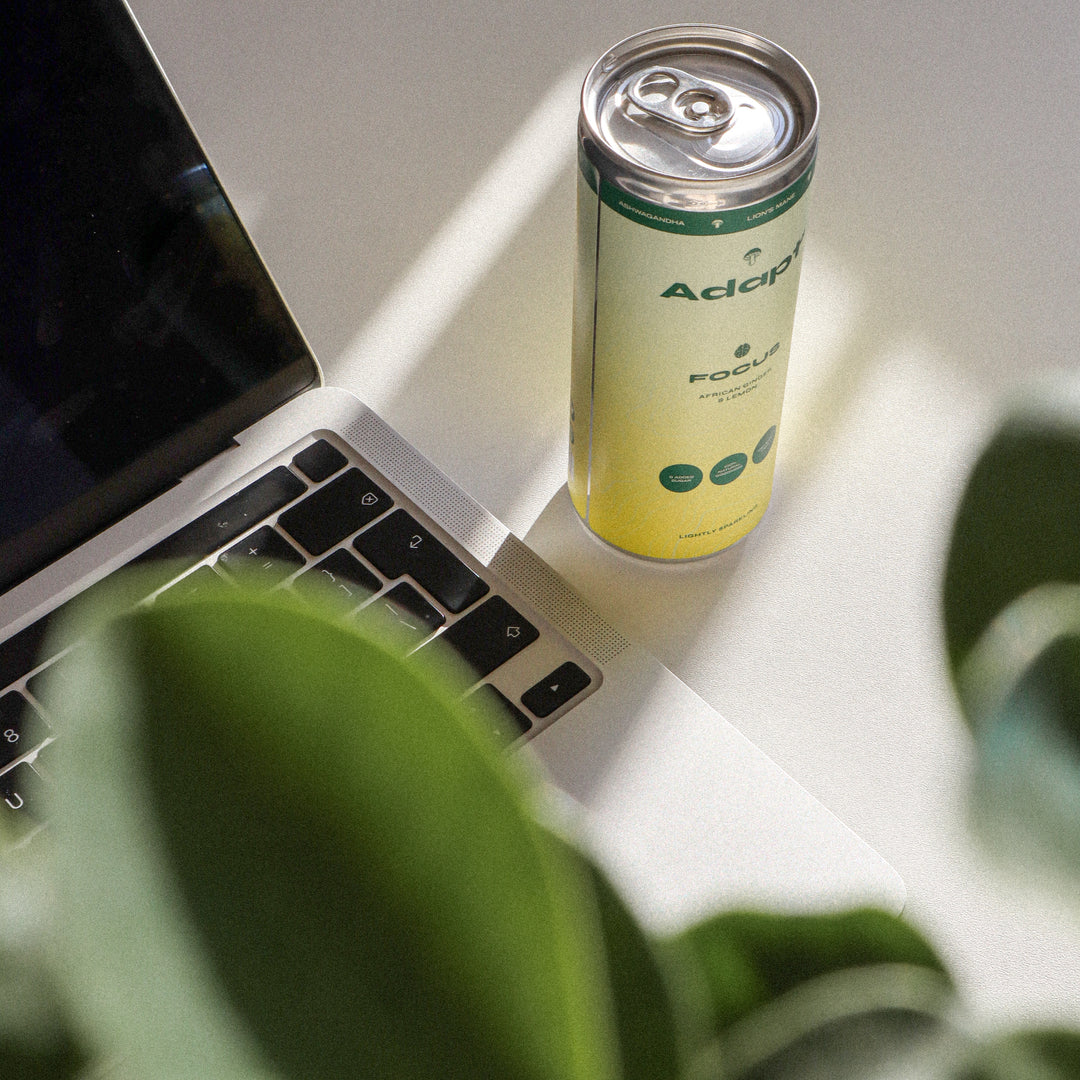 FOCUS • African Ginger & Lemon • with Lion's Mane