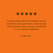 Energy Powder • Cordyceps Mushroom My Store