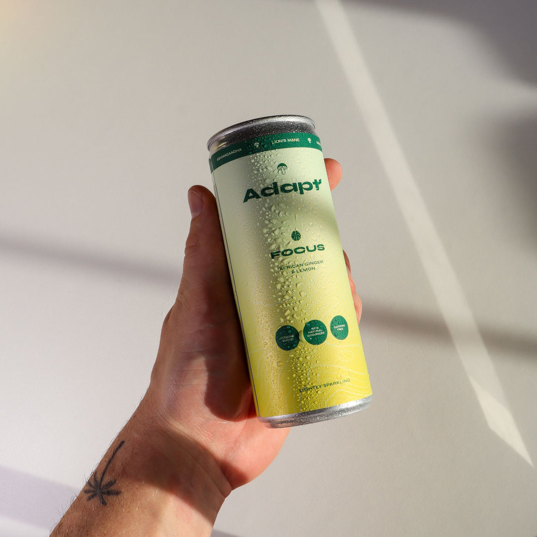 FOCUS • African Ginger & Lemon • with Lion's Mane