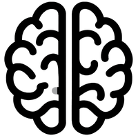 Supports focus & memory