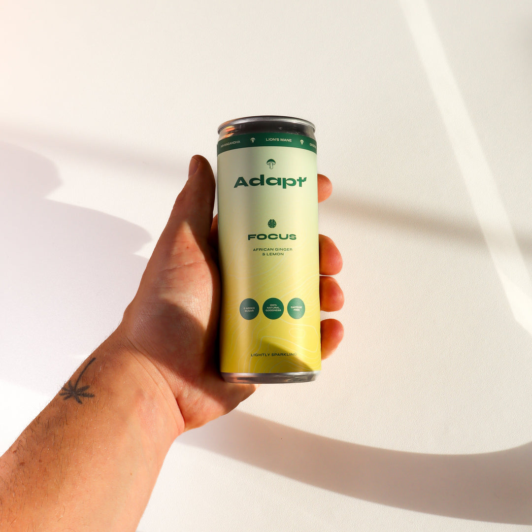 FOCUS • African Ginger & Lemon • with Lion's Mane My Store