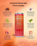 Load image into Gallery viewer, RELAX • English Elderflower &amp; Pomegranate • with Reishi Mushroom
