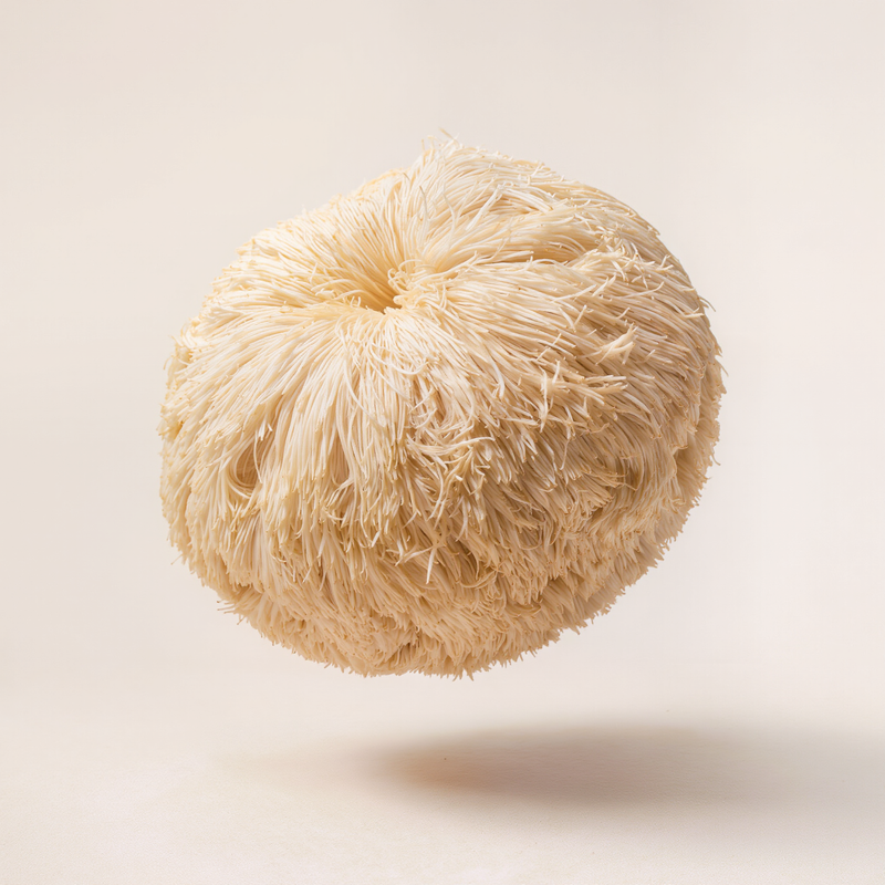 Lion's Mane