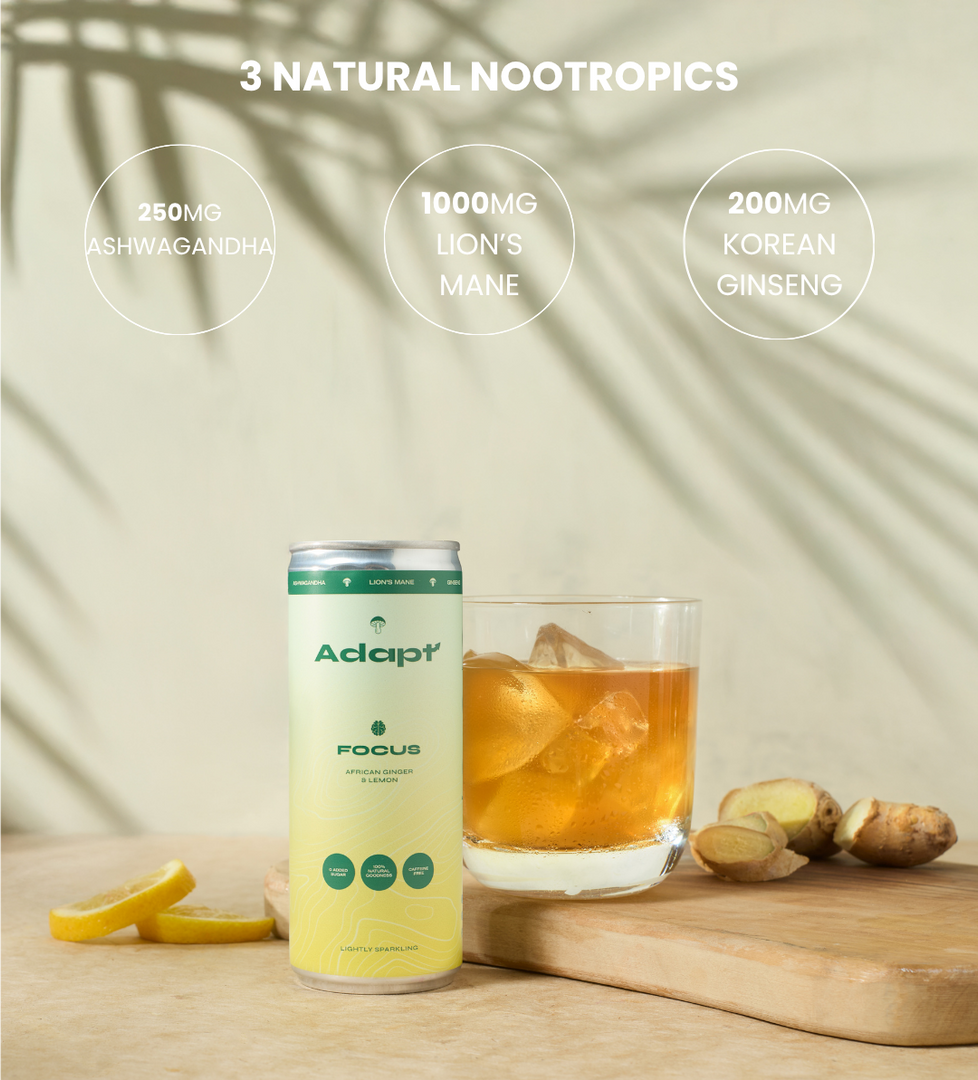 FOCUS • African Ginger & Lemon • with Lion's Mane My Store