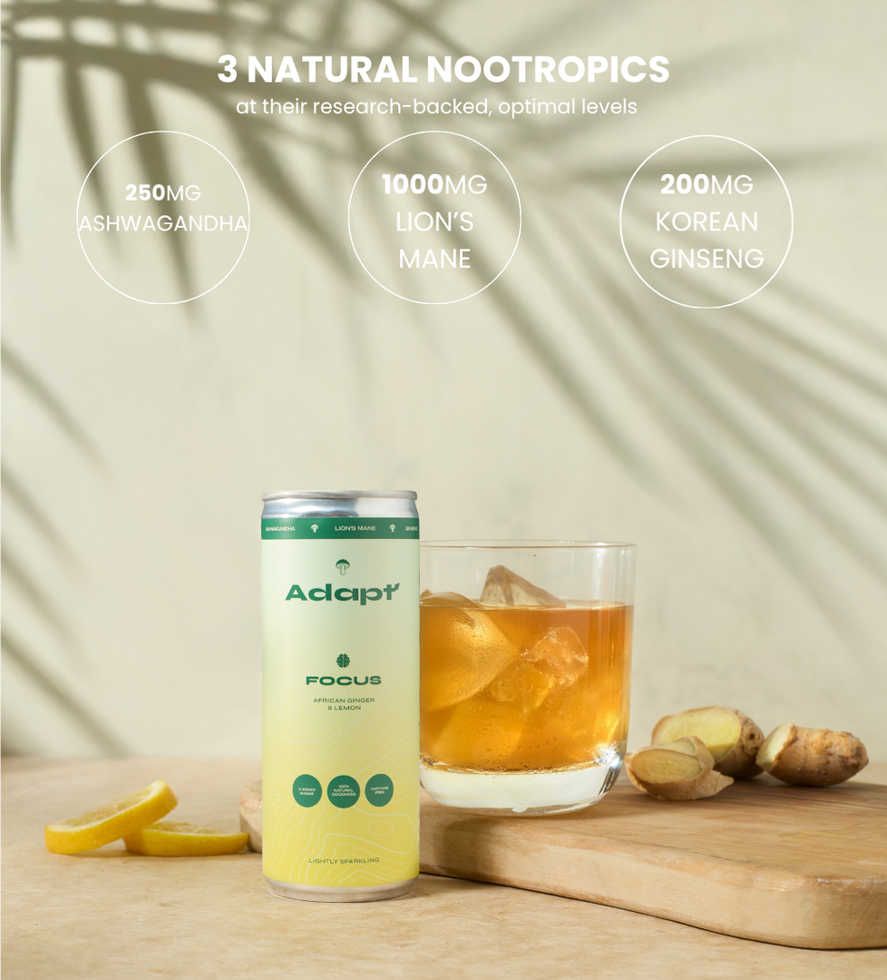 FOCUS • African Ginger & Lemon • with Lion's Mane My Store