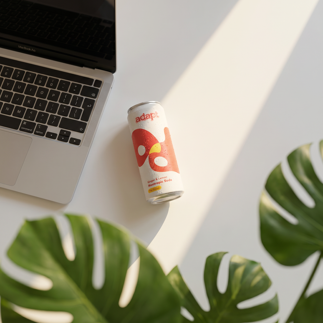 FOCUS • Ginger & Lemon • Lion's Mane Nootropic Drink